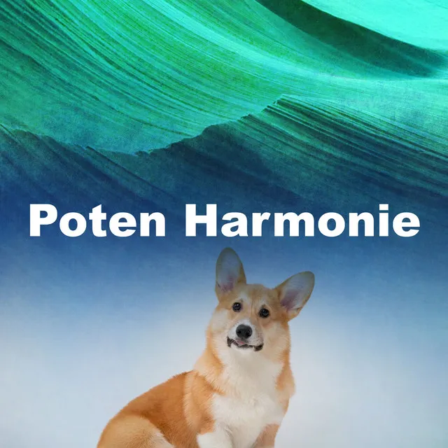 Poten Harmonie