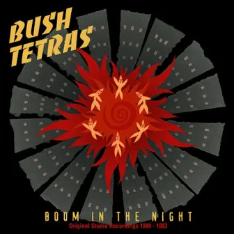 Boom in the Night by Bush Tetras