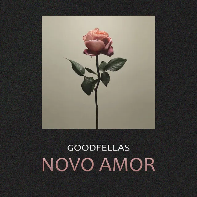 Novo Amor