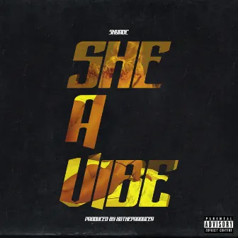 She a Vibe by SkyRoc