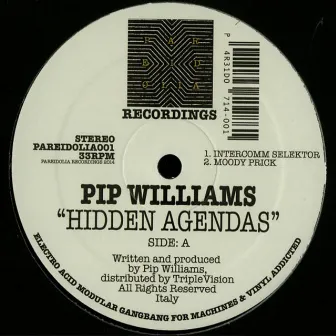 Hidden Agendas by Pip Williams