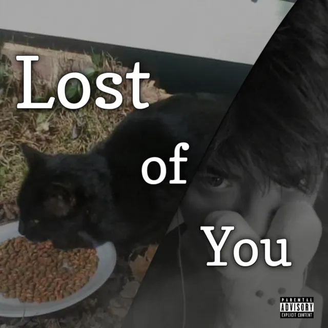 Lost of You