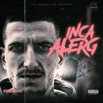 INCA ALERG by HustleKid