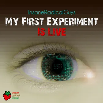 My First Experiment Is Live by InsaneRadicalGuys