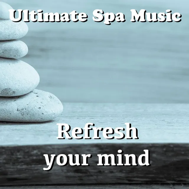 Ultimate Spa Music