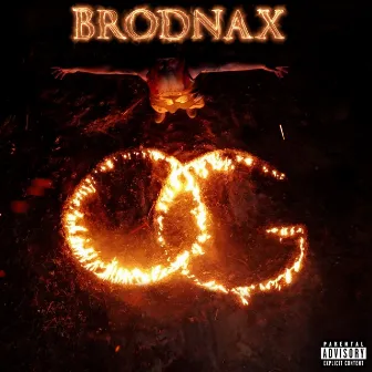 WE ON FIRE by Brodnax