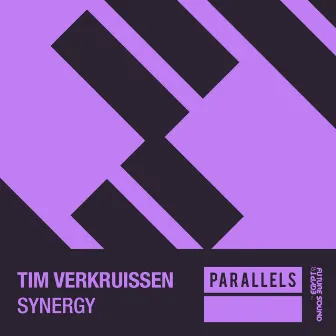 Synergy by Tim Verkruissen