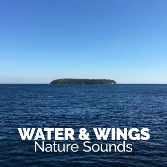 Water & Wings: Nature Sounds by Nature Sounds Meditation