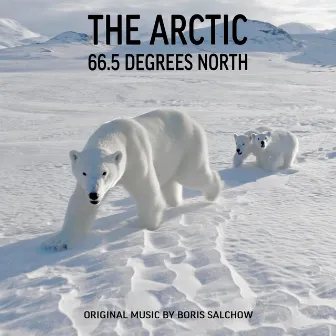 The Arctic - 66.5 Degrees North (Original Score) by Boris Salchow