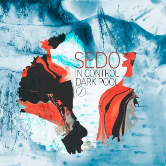 In Control / Dark Pool by Sedo