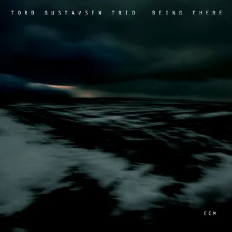 Being There by Tord Gustavsen