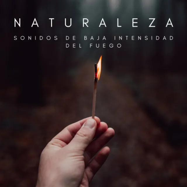 Naturaleza: Sonidos De Baja Intensidad Del Fuego