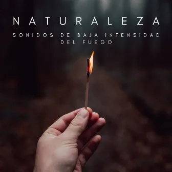 Naturaleza: Sonidos De Baja Intensidad Del Fuego by ASMR Deluxe