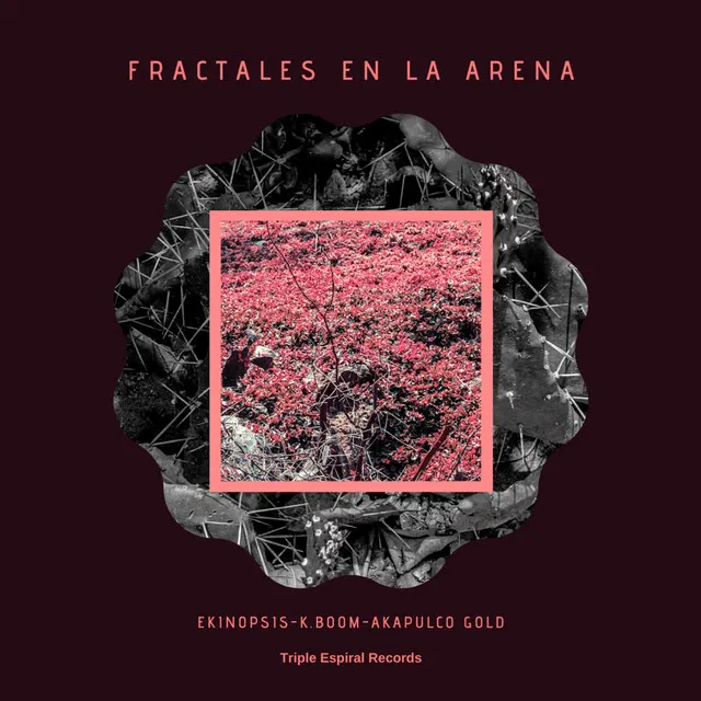 Fractales en la Arena