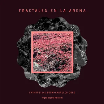 Fractales en la Arena by K. Boom