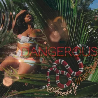 Dangerous by Janedoe