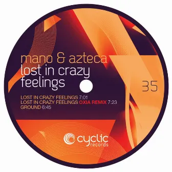 Lost In Crazy Feelings by Azteca