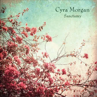 Sanctuary by Cyra Morgan