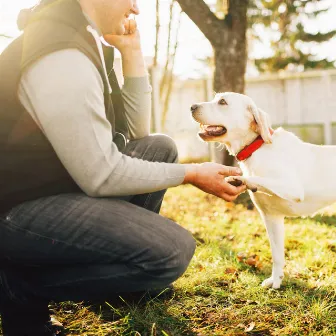 Harmonious Howls: Jazz Piano Music for Dog Companions by The Dog Music Guys