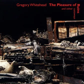 The Pleasure of Ruins and other castaways by Gregory Whitehead