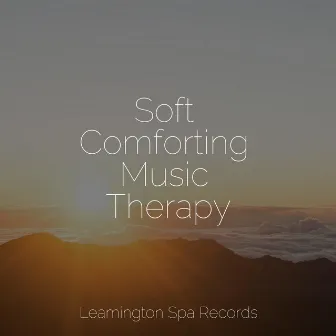 Soft Comforting Music Therapy by Oasis of Meditation