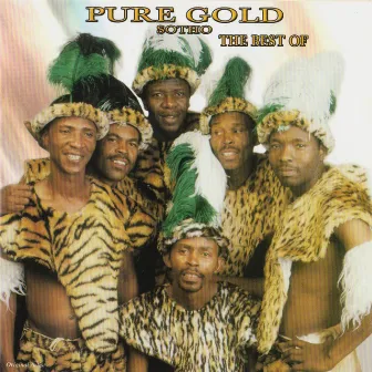 The Best Of Pure Gold - Sotho by Pure Gold