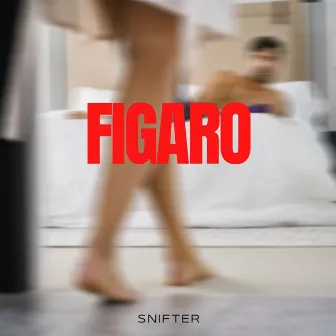 Figaro by Snifter