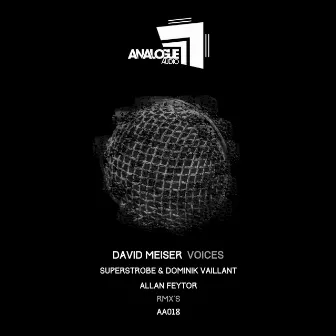 Voices by David Meiser