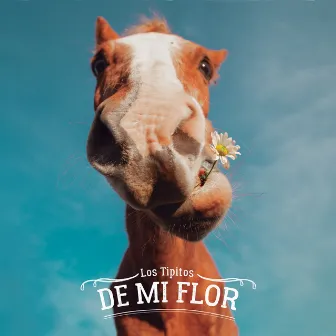 De Mi Flor by Los Tipitos