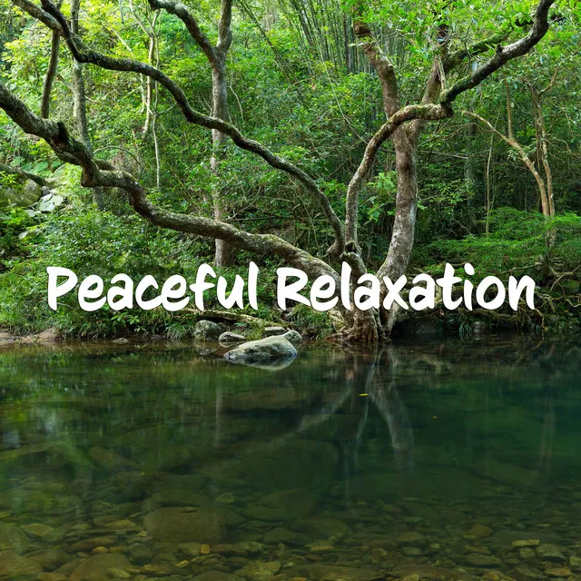 Peaceful Music for Spa, Yoga and Relaxation