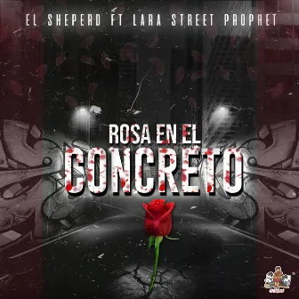 Rosa En El Concreto by El Sheperd