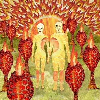 The Sunlandic Twins by of Montreal