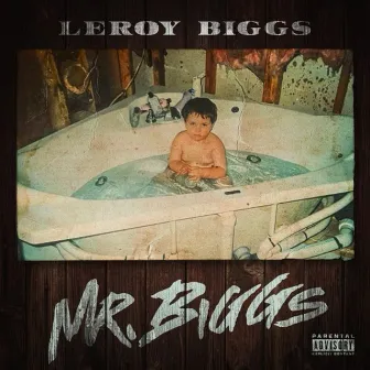 MR. BIGGS by Leroy Biggs