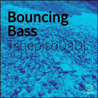 Bouncing Bass by TshepisoDaDj