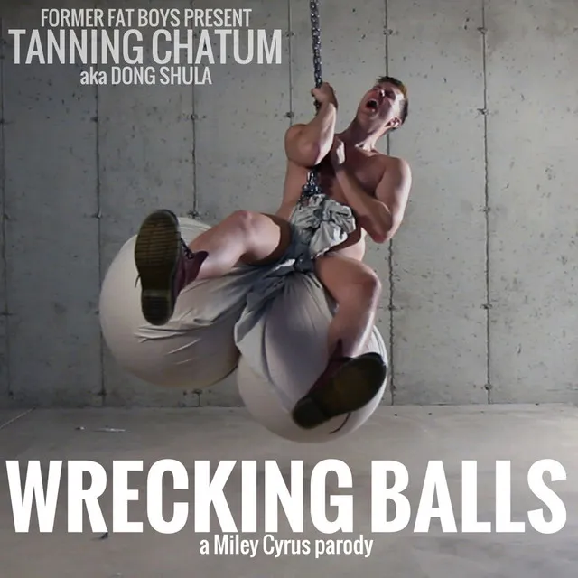 Wrecking Ball Parody (Wrecking Balls)