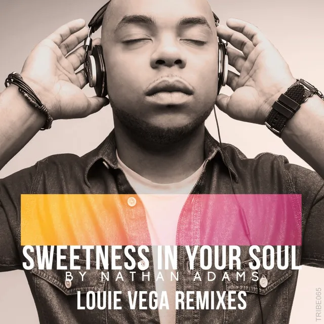 Sweetness in Your Soul (Louie Vega Remixes)