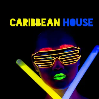 Caribbean House: Best Exotic Beats for Summer Holidays 2020 by Drink Mixes Center