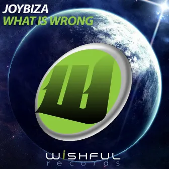 What Is Wrong by Joybiza