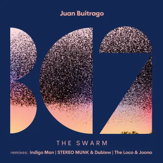 The Swarm by The Loco