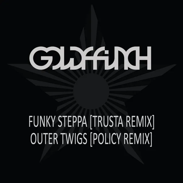 Outer Twigs - Policy Remix