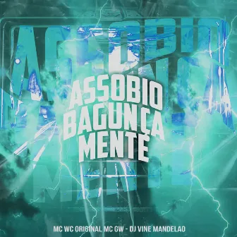 Assobio Bagunça Mente by DJ Vine Mandelão