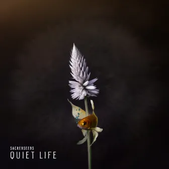 Quiet Life by Sacred Seeds