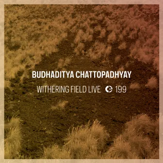 Withering Field Live by Budhaditya Chattopadhyay