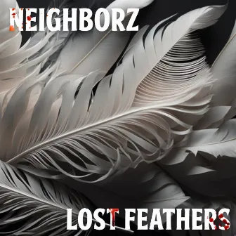 Lost Feathers by Neighborz