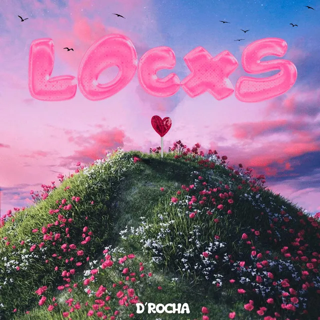 Locxs