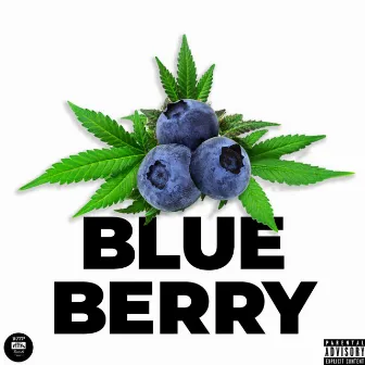 Blueberry by D'ARD