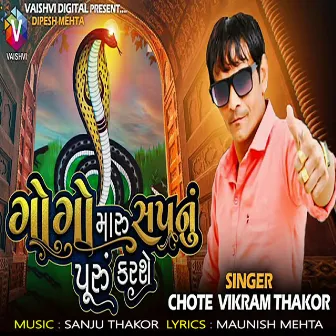 Gogo Maru Sapnu Puru Karse by Chote Vikram Thakor