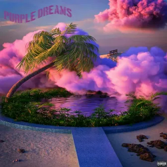 Purple Dreams by Mo Money