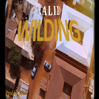 WILDING by Lalid