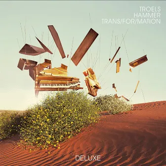 Trans/For/Mation (Deluxe) by Troels Hammer